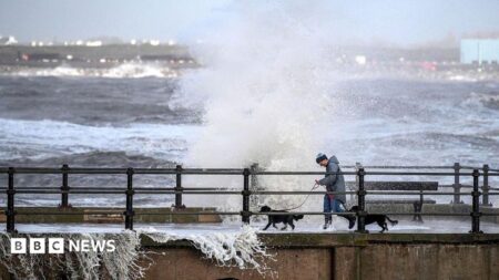 Storm Cleanup Begins as Thousands Remain Without Power