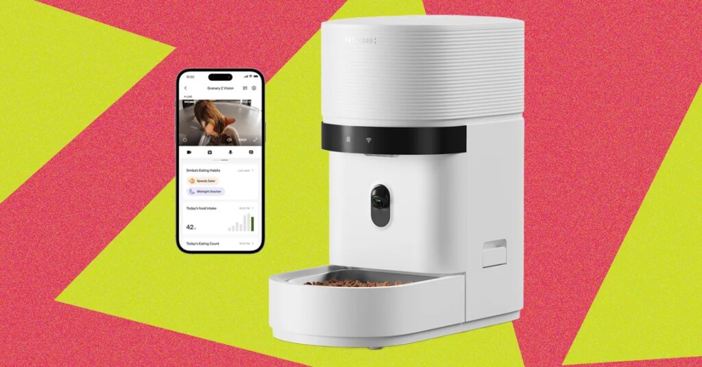 The 12 Best Automatic Cat Feeders Tested in 2026