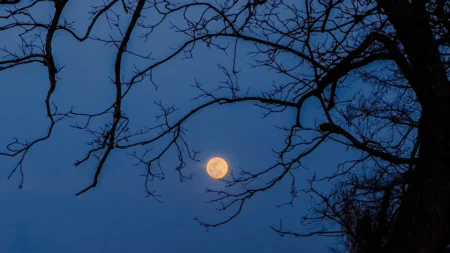 The Night Sky in October: Cosmic Tricks and Rewards The Night Sky in October Cosmic Tricks and Rewards