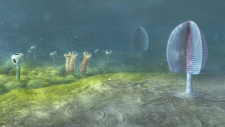The first animals may have appeared 200 million years earlier