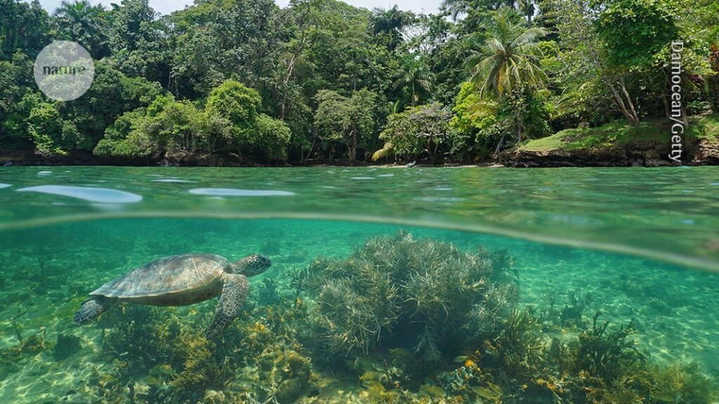 Time for the world to recognize natures rights