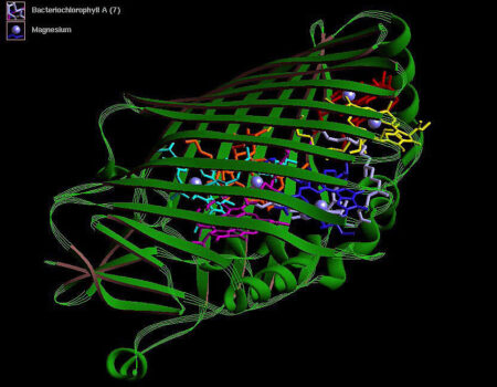 Vibrator Gene Natural Language for Protein and Genome Design Software