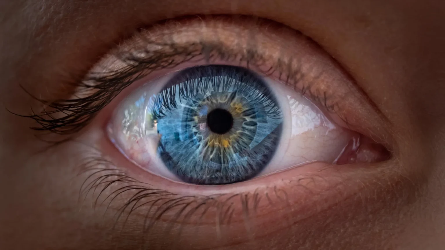 Vitamin A Discovery Reveals New Insights Into How Vision Works