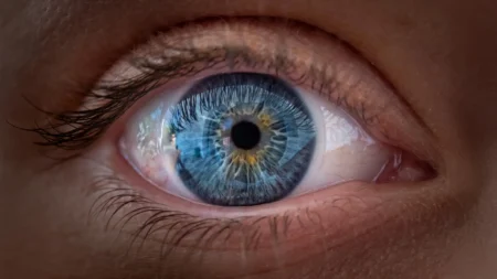 Vitamin A Discovery Reveals New Insights Into How Vision Works