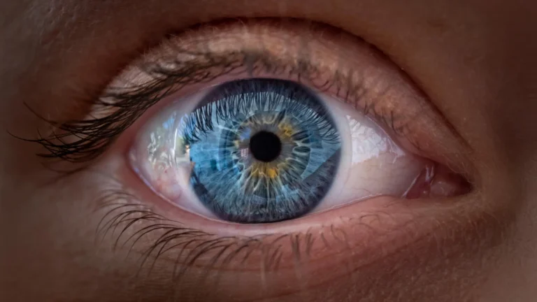 Vitamin A Discovery Reveals New Insights Into How Vision Works Vitamin A Discovery Reveals New Insights Into How Vision Works