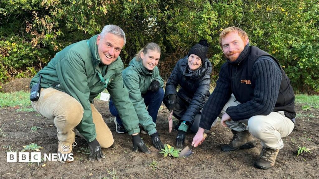 Volunteers protect Londons rarest plant