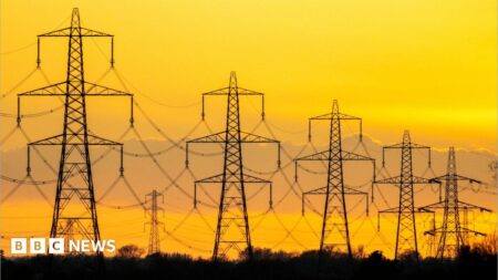 Welsh Government considers banning pylons as discussions commence
