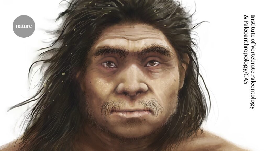 What Did Denisovans Look Like? Scientists Reveal Their Mysterious Appearance What Did Denisovans Look Like Scientists Reveal Their Mysterious Appearance