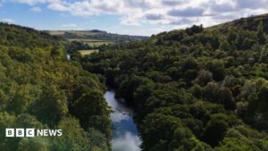 Wildlife Trust Secures £30 Million Purchase of Rothbury Estate Wildlife Trust Secures 30 Million Purchase of Rothbury Estate
