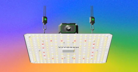 Winter 2026 Top LED Grow Lights for Houseplants